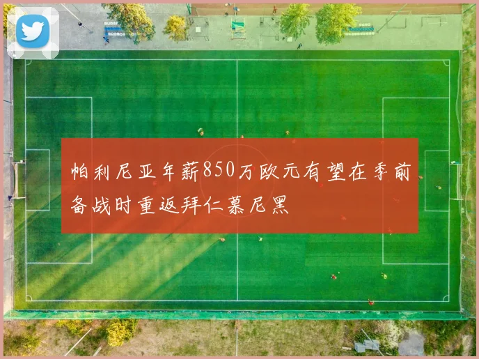 帕利尼亚年薪850万欧元有望在季前备战时重返拜仁慕尼黑