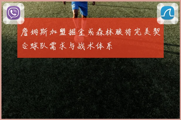 詹姆斯加盟掘金或森林狼将完美契合球队需求与战术体系
